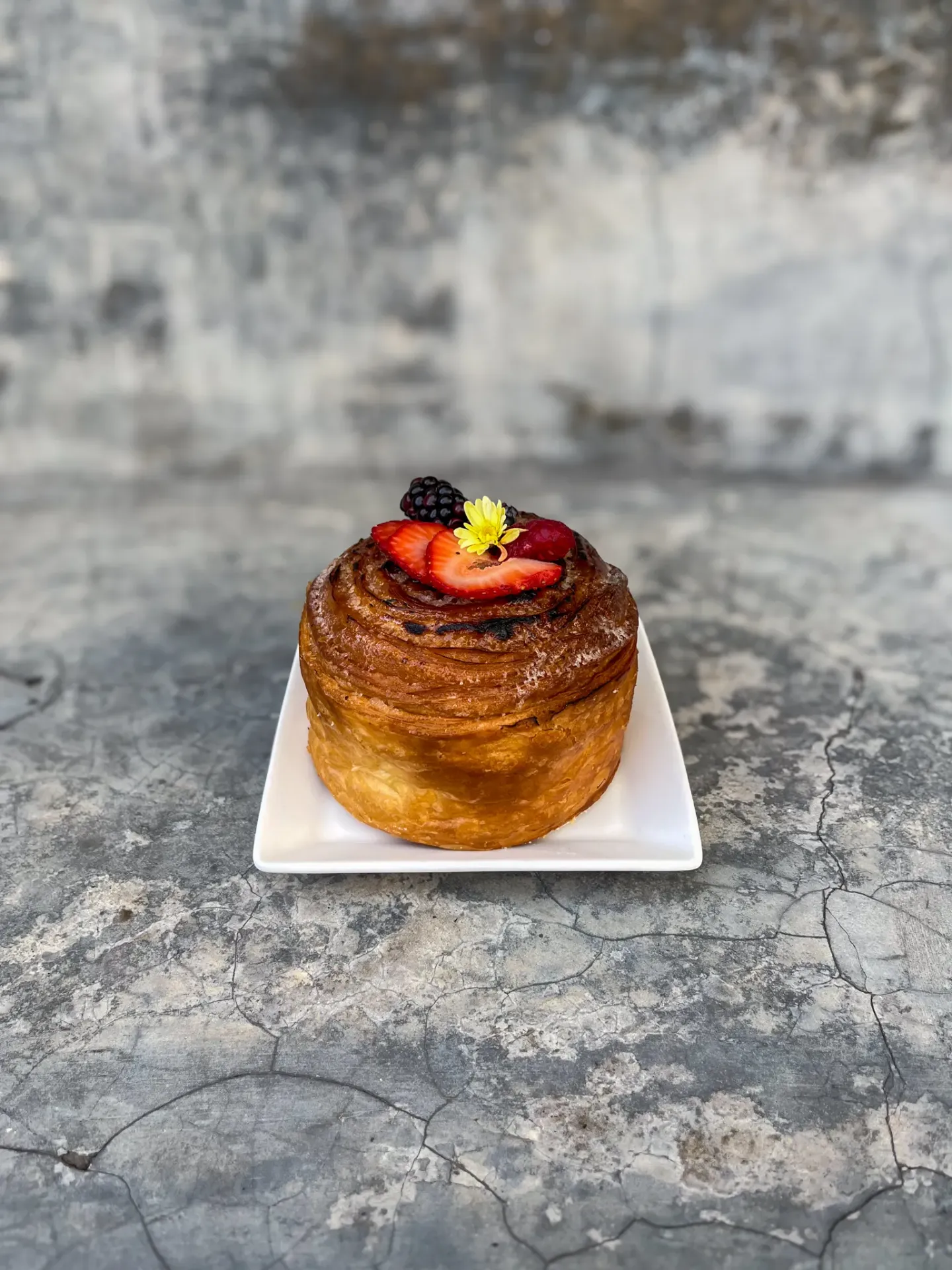 [8020] NEW YORK FLAN